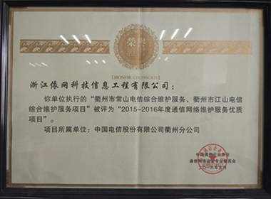 2015-2016年度通信网络维护服务优质项目
