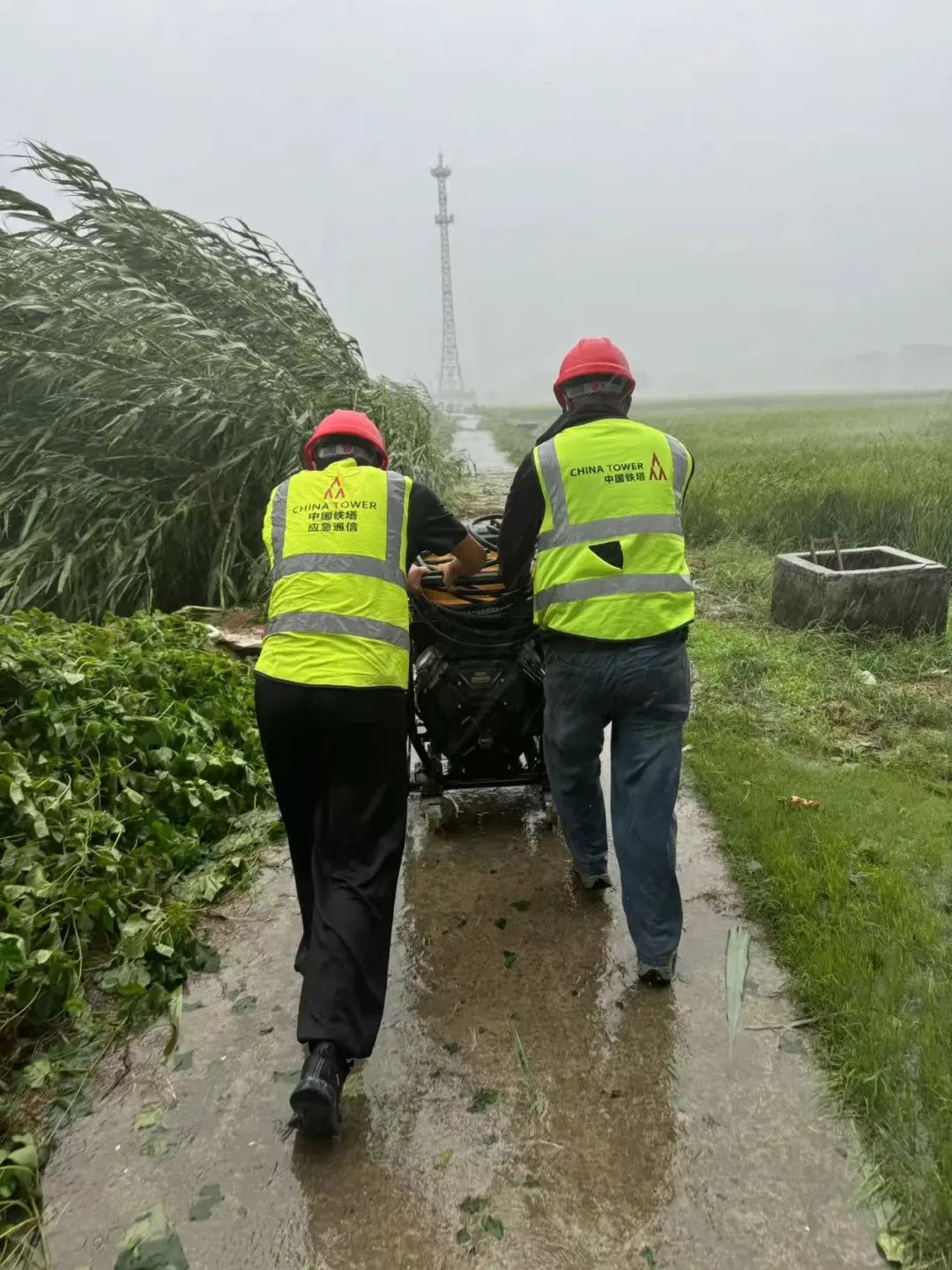 坚守一线,力保通信---记依网科技上海铁塔项目部奋战“贝碧嘉”
